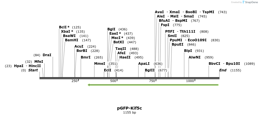 133900_map