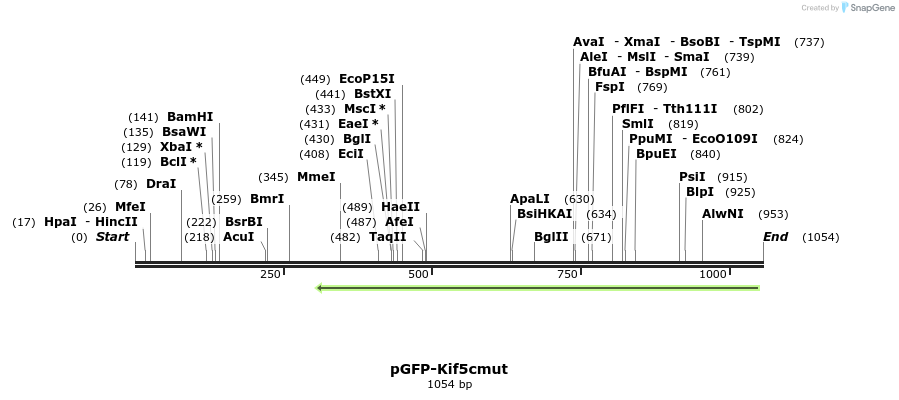 133907_map