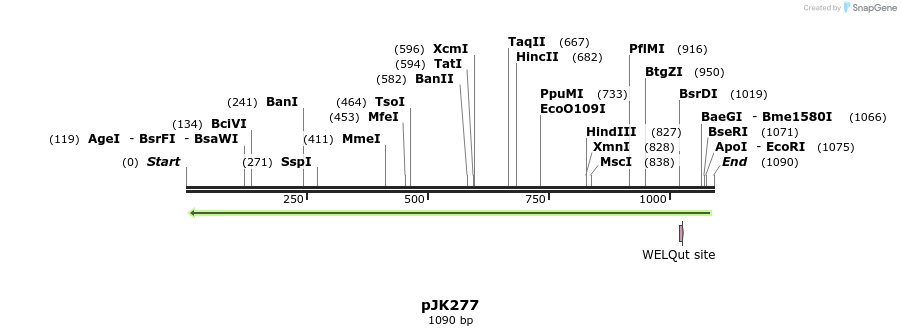 133912_map