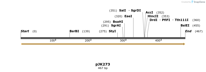 133917_map