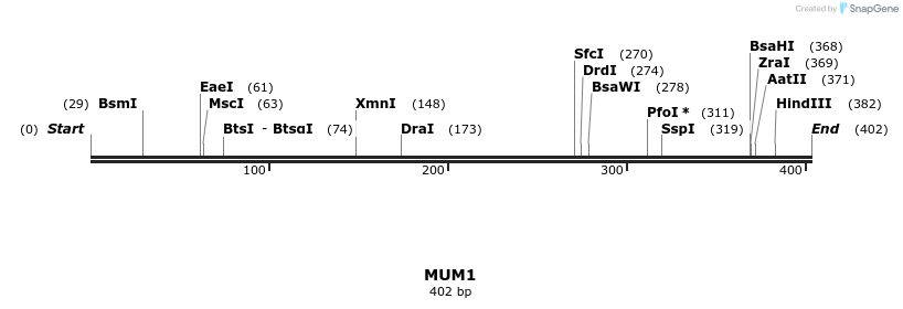 13392_map