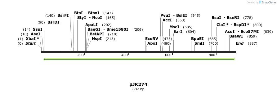 133923_map
