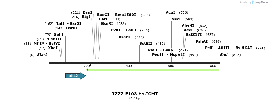 133929_map