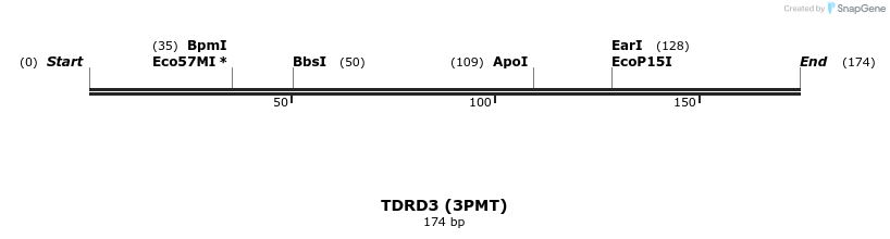 13393_map