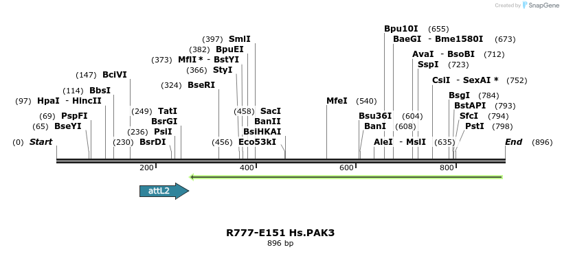 133936_map