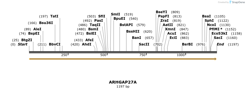 13395_map