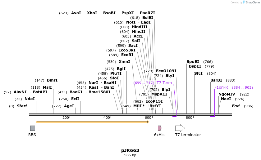 133956_map