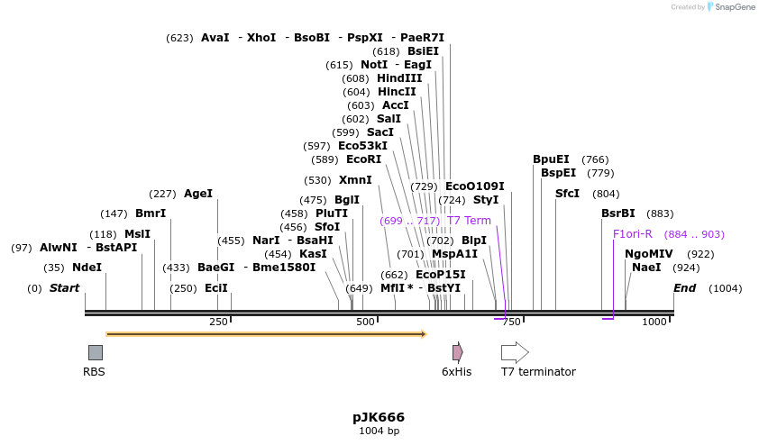 133961_map