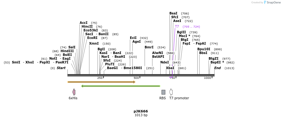133962_map