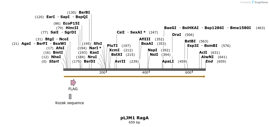 133964_map
