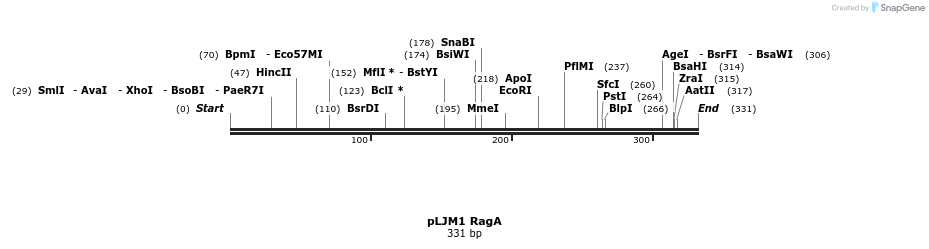 133965_map
