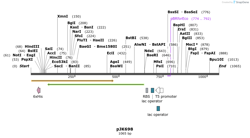 133966_map