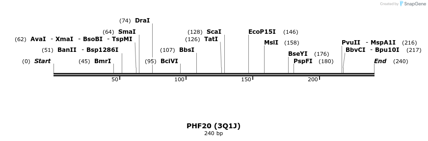13397_map