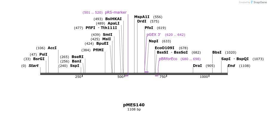 133981_map