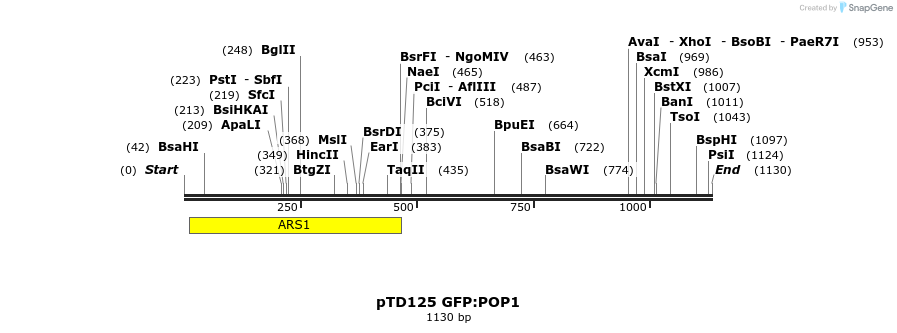 133984_map