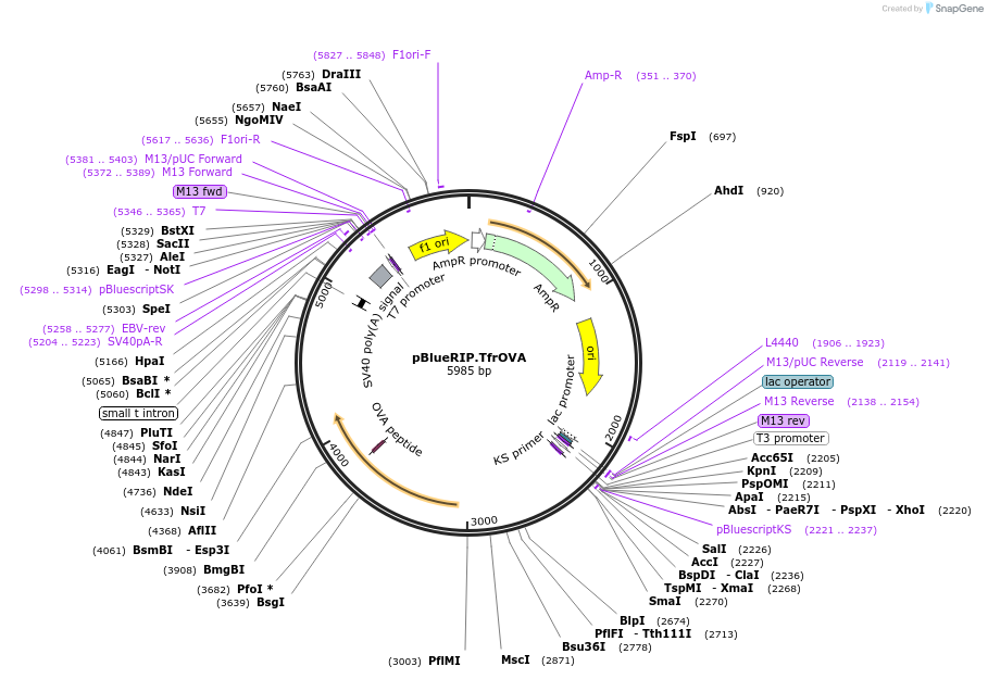 134005_map