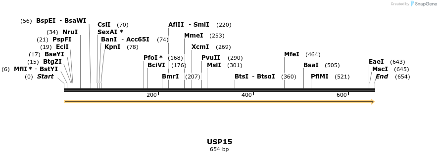 13401_map