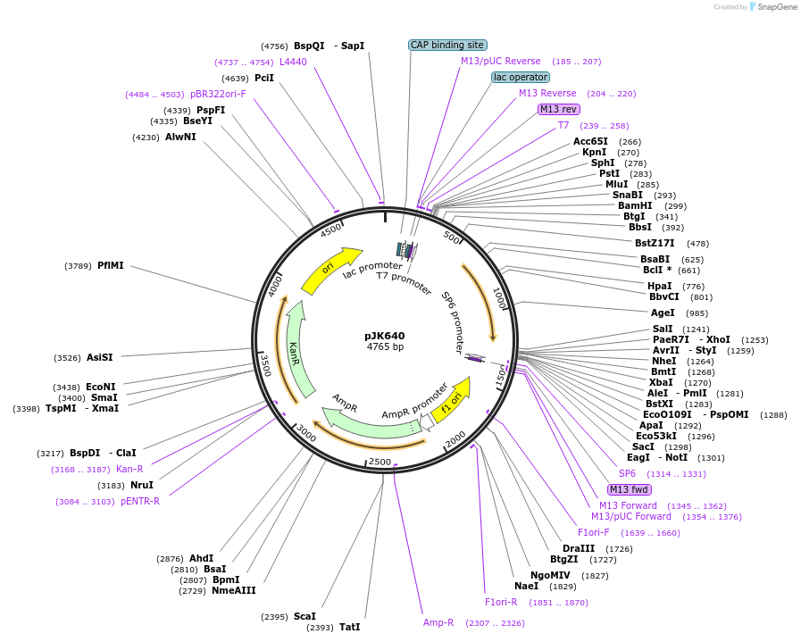 134013_map