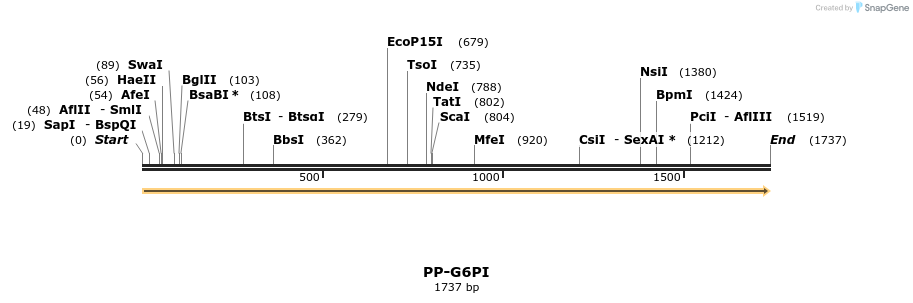 13402_map