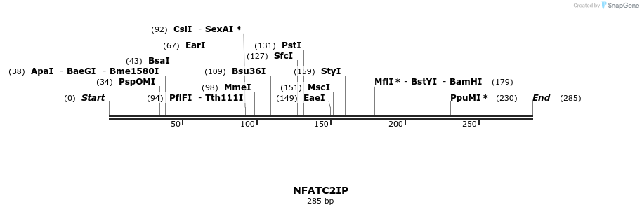 13403_map