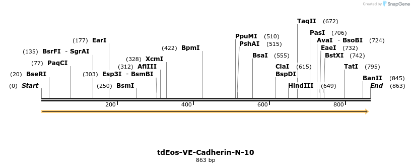 134033_map