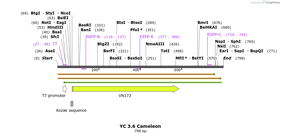 134034_map