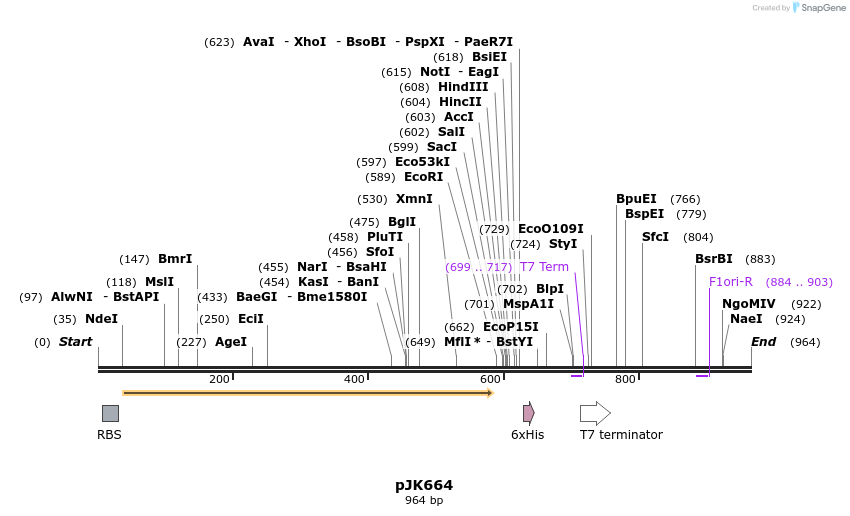 134037_map