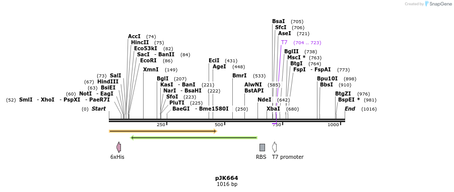 134038_map
