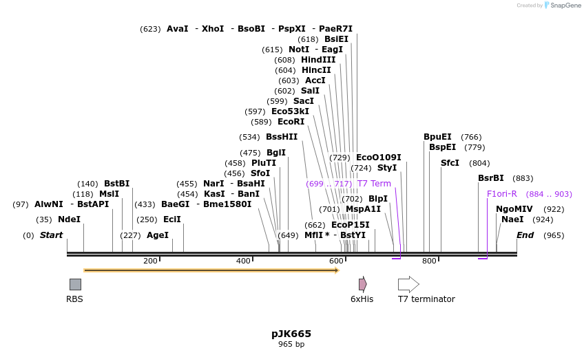 134039_map