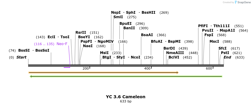 134041_map