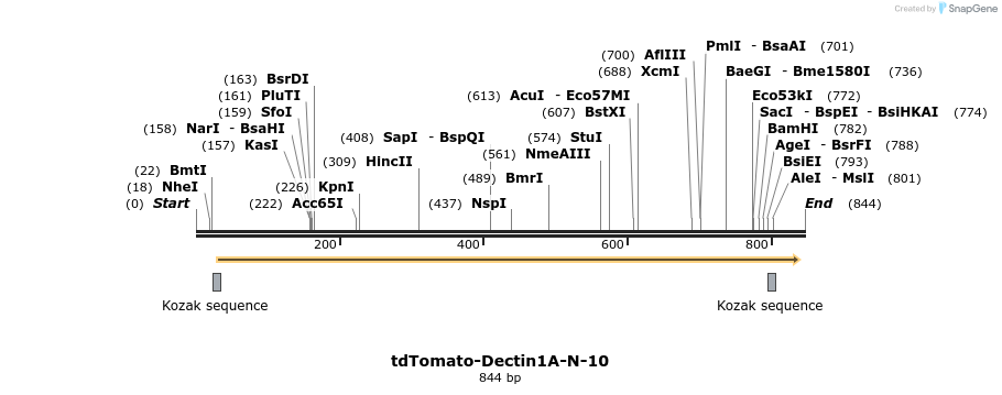 134044_map