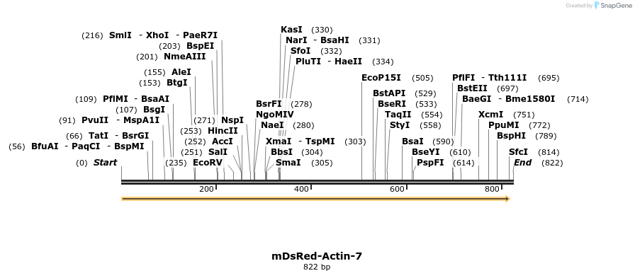 134047_map