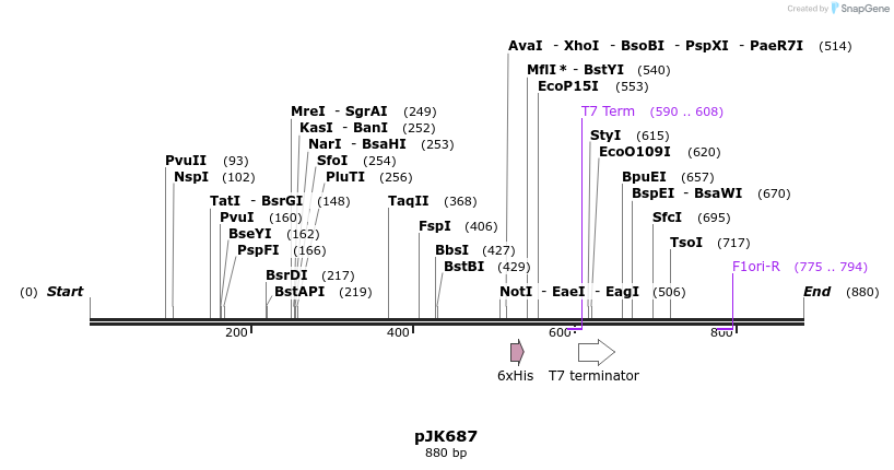 134053_map
