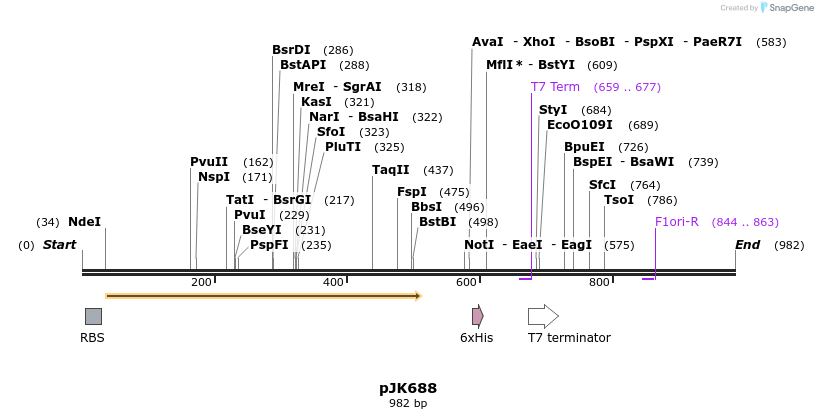 134055_map