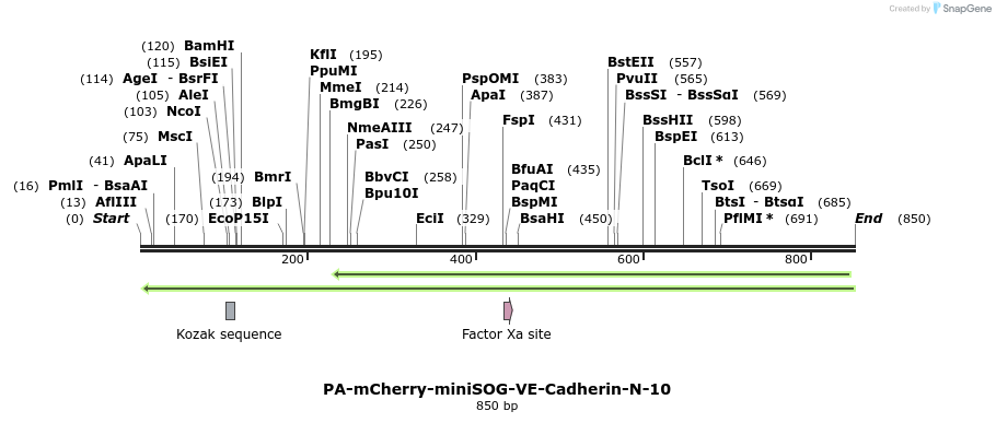 134058_map