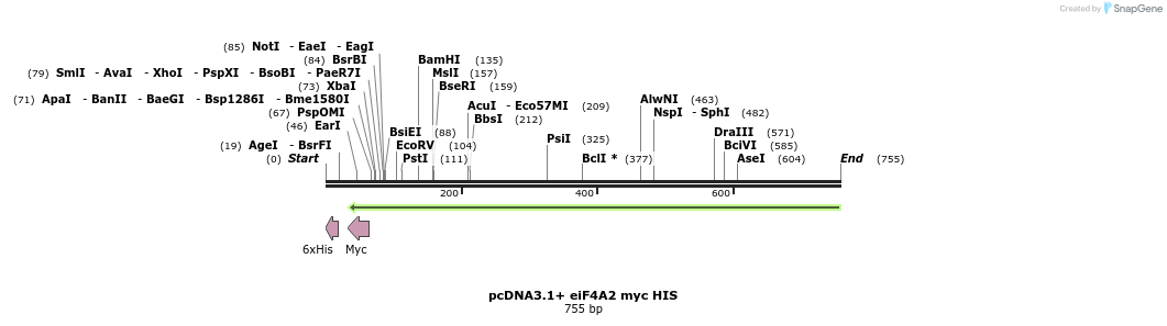 134061_map