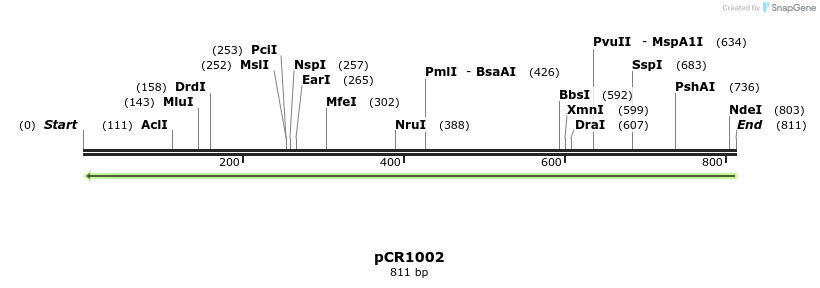 134063_map