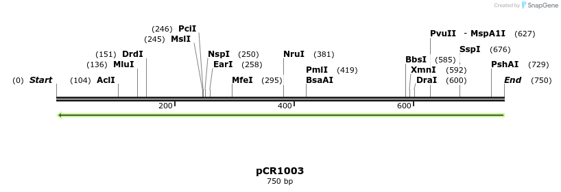 134070_map