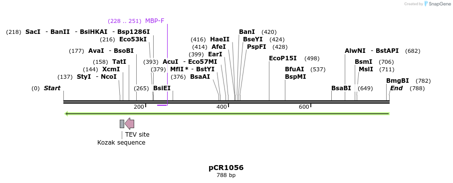 134075_map