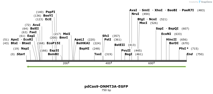 134077_map
