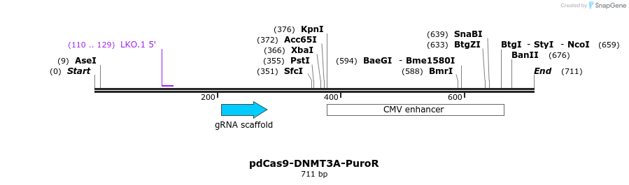 134081_map