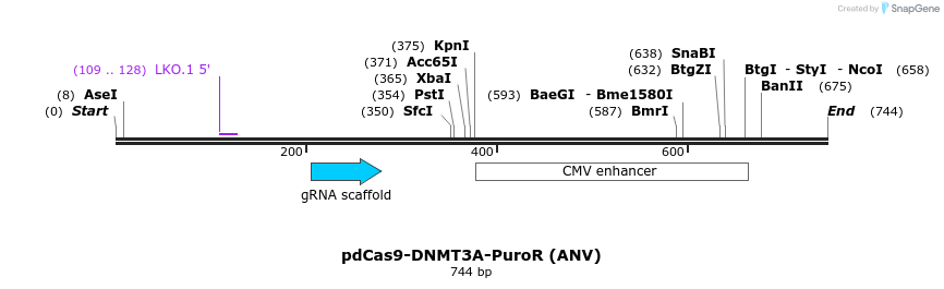 134087_map