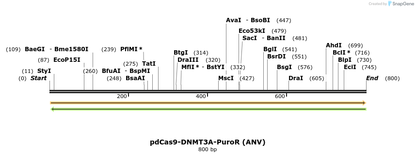134088_map