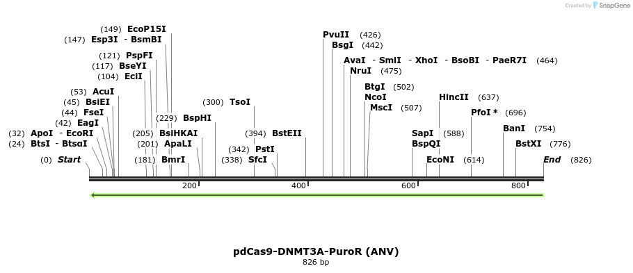 134089_map