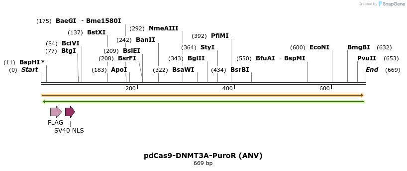 134090_map