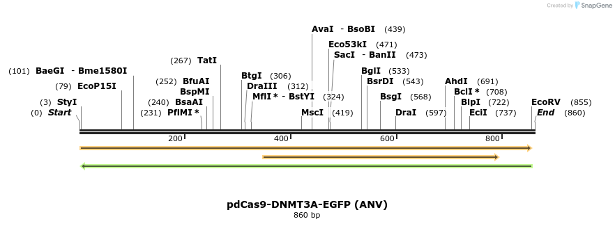 134100_map