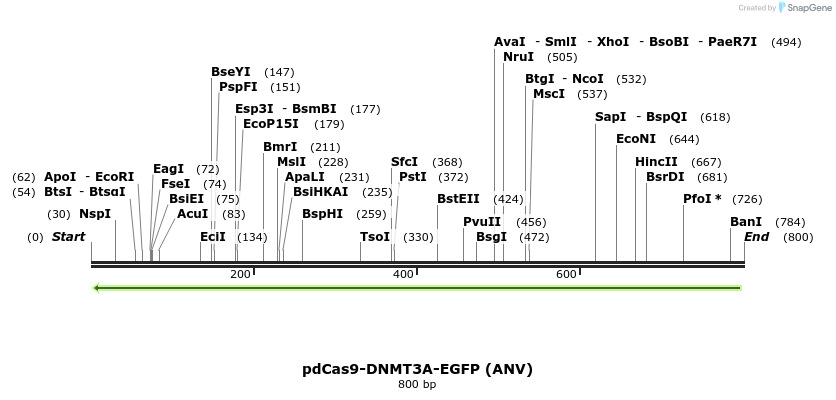 134102_map