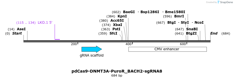 134107_map