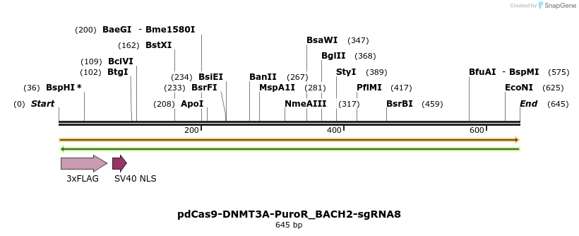 134108_map
