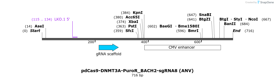 134113_map